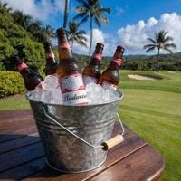 Budweiser