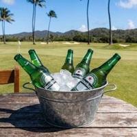 Heineken Light