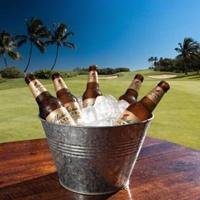 Michelob ULTRA Gold