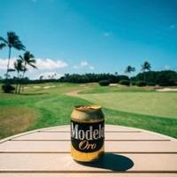 Modelo Oro