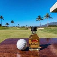Cuervo