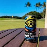 Monster Beast Variety
